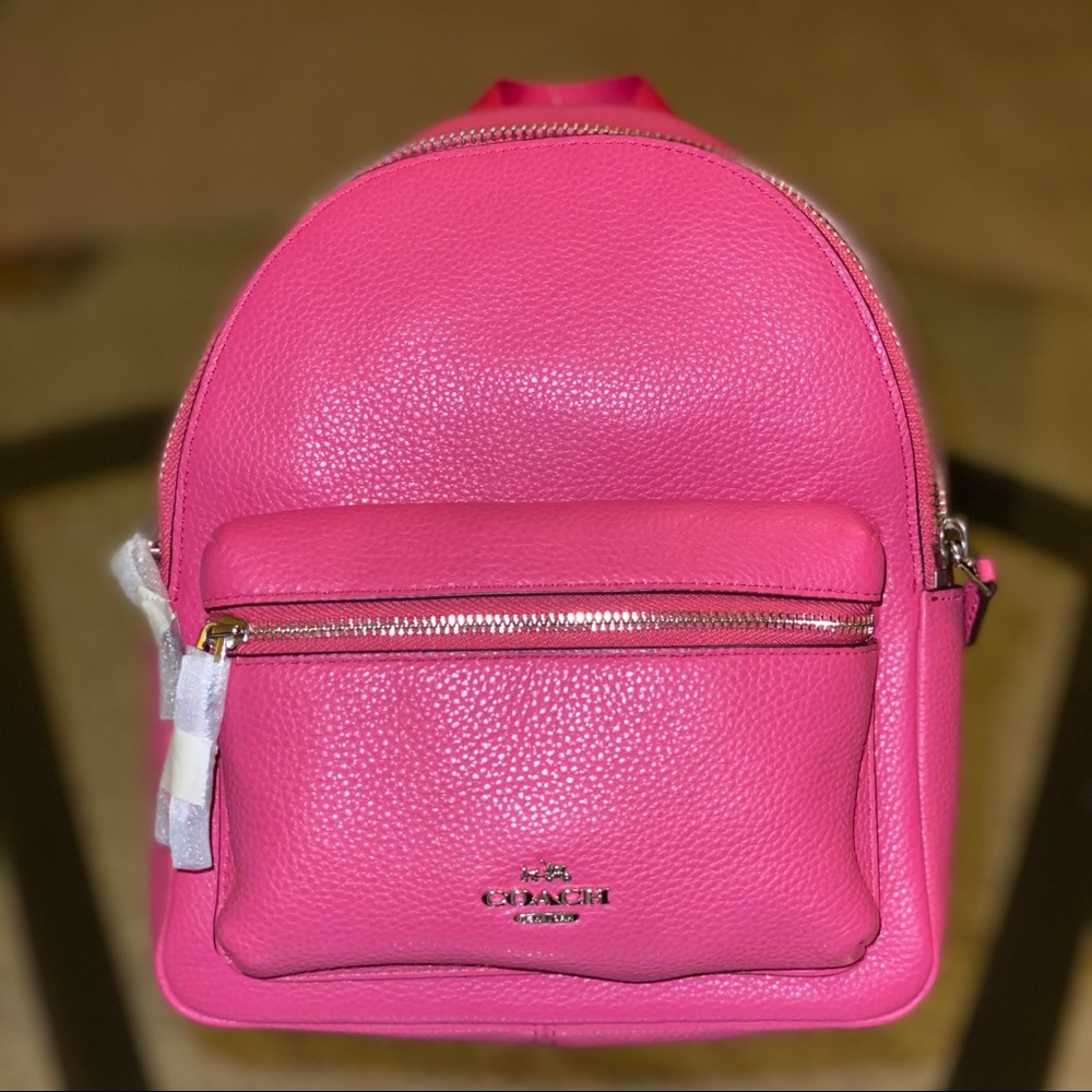 Pebble Leather Mini Charlie Backpck